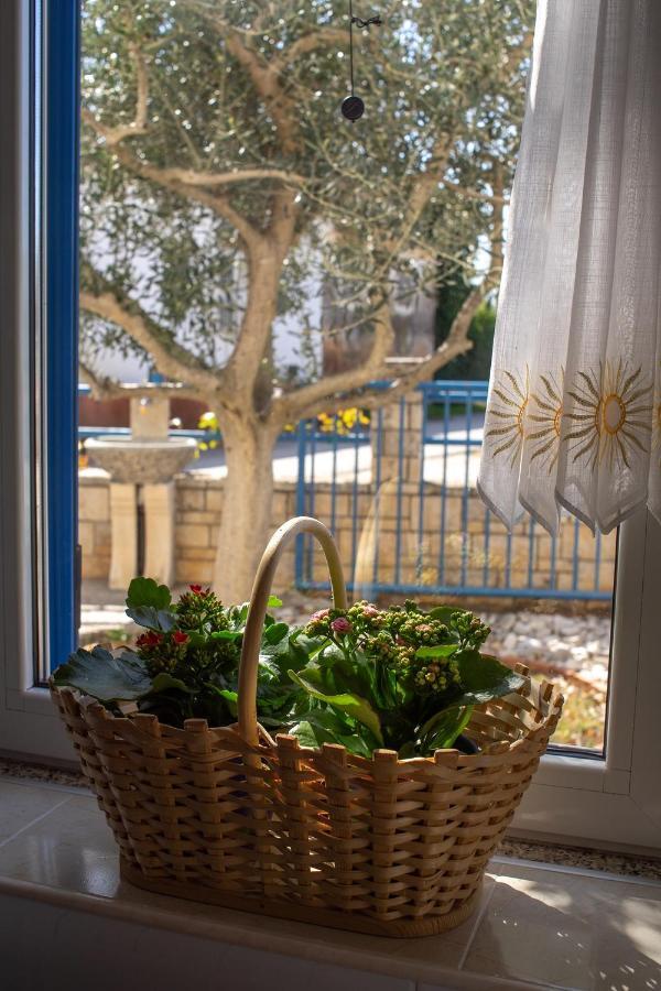 Olive Tree Apartments Умаг Экстерьер фото