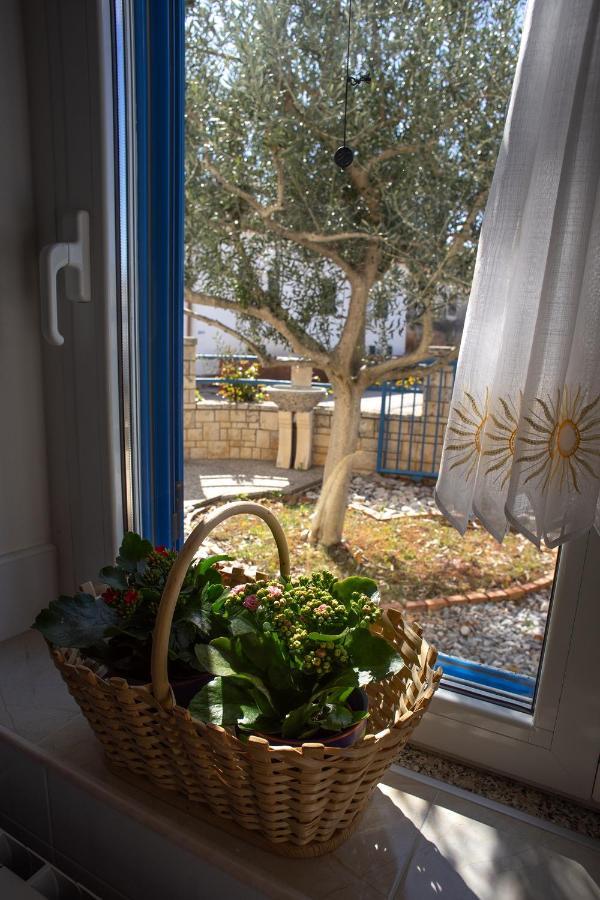 Olive Tree Apartments Умаг Экстерьер фото